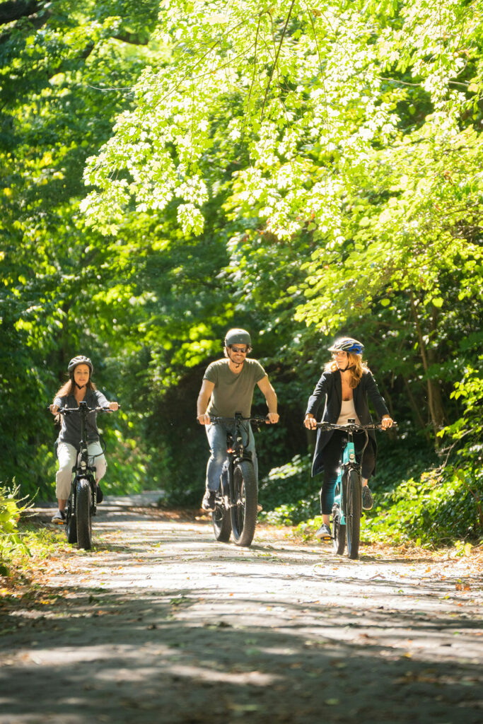 fahrradtouren in der bodenseeregion