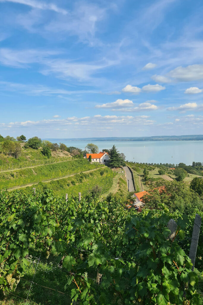 ferienhaus am bodesee mieten